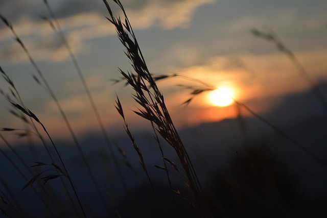 Sonnenuntergang, Sun, Panorama, Horizont