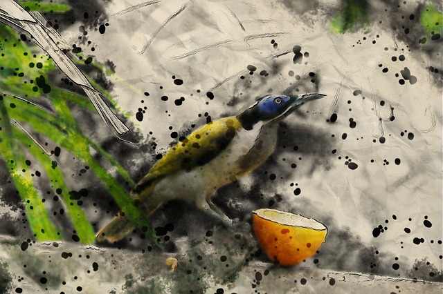 Vogel, Honig, Esser, Blau, Gesicht