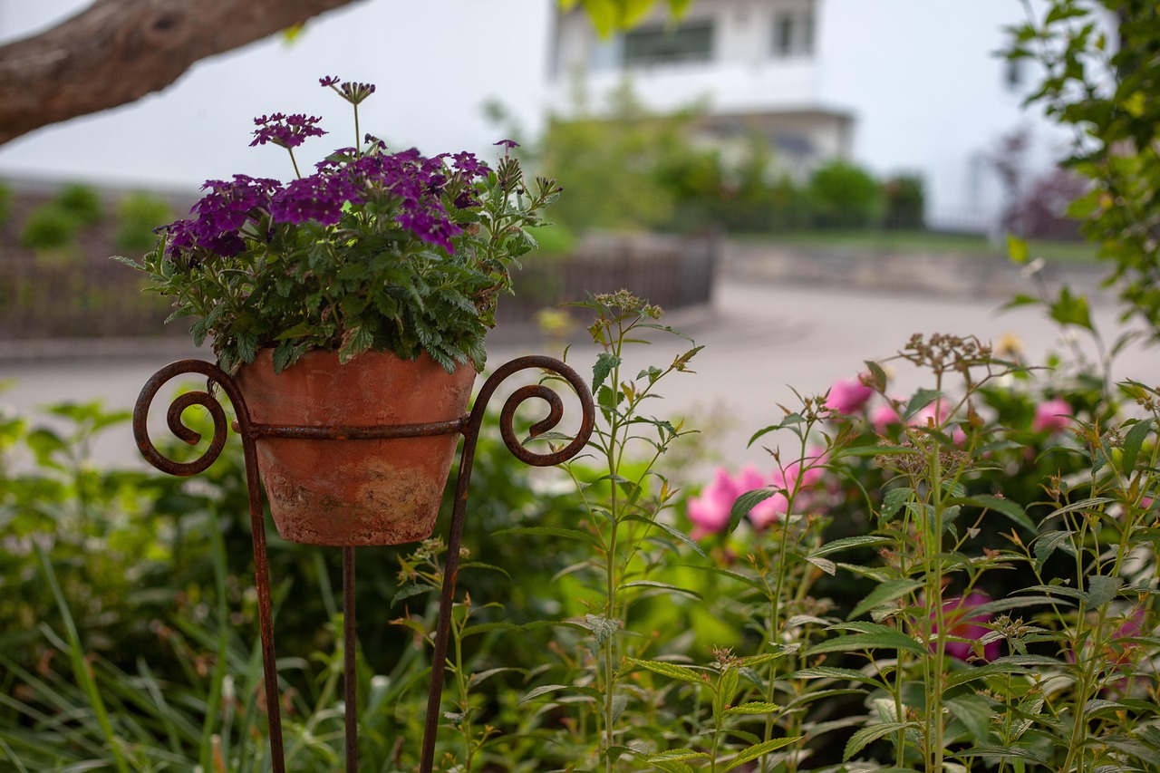 Garden - free online jigsaw puzzle photo