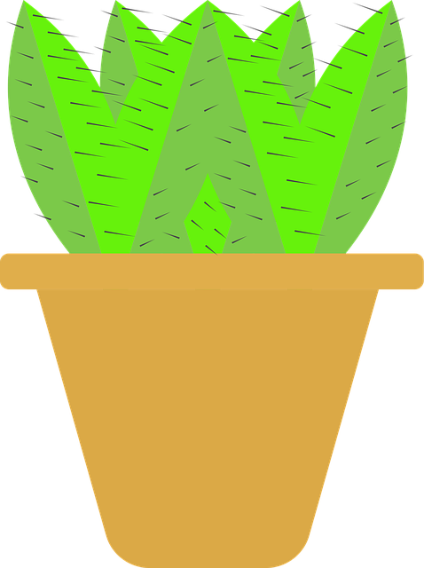 Free cactus plant plant desert plant vector