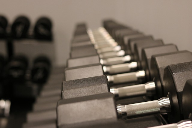 Free Weights Dumbbells photo and picture