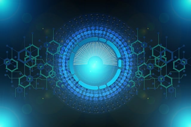 Netværk, Internet, Web, Cyber