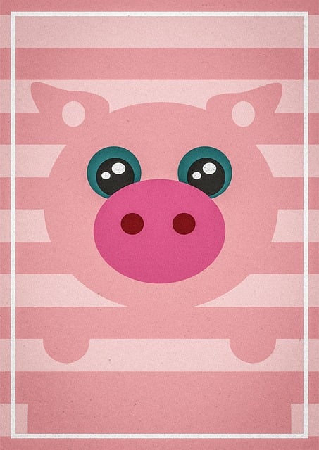 Schwein, Tier, Natur, Bauernhof, Sau