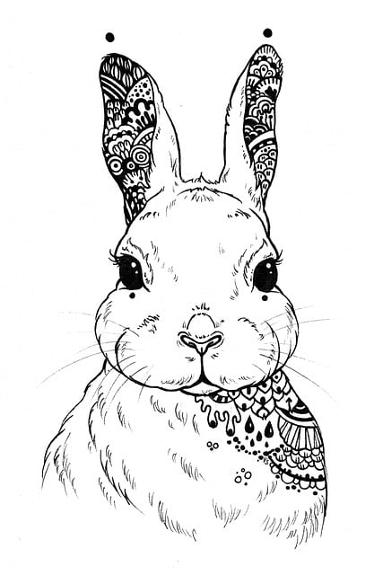 Free Rabbit Mandala illustration and picture