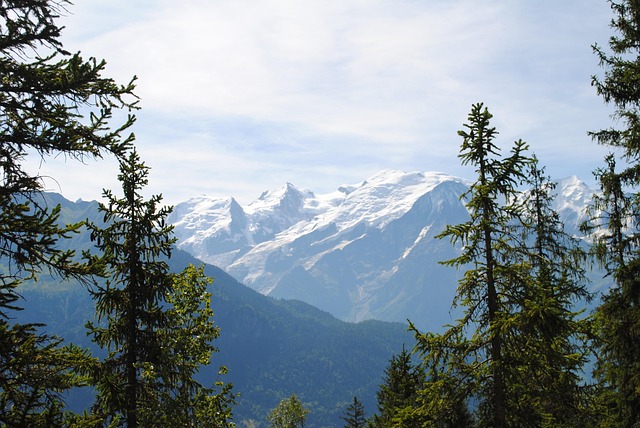 Free Alps Mountain photo and picture