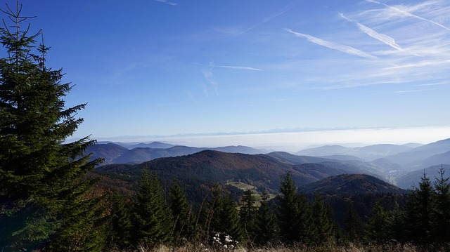 Free Mountains Alps photo and picture