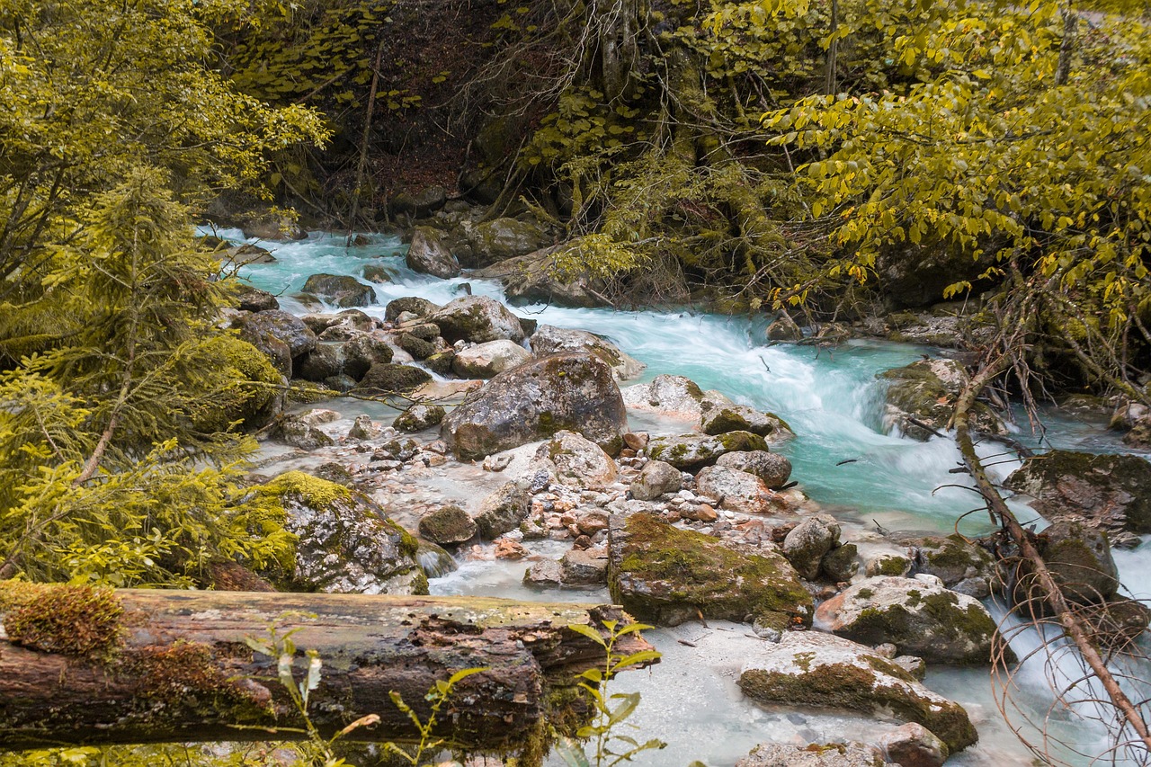 Natureza Agua Rio - Foto gratuita no Pixabay - Pixabay