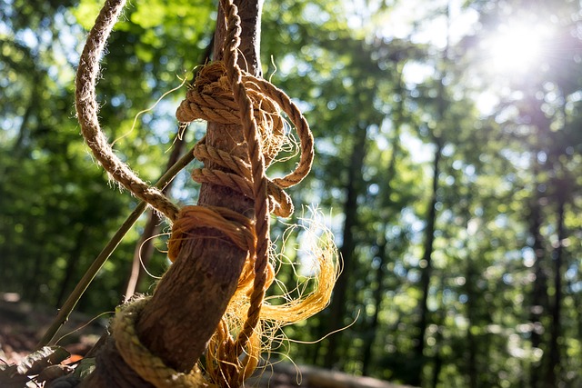 Free Rope Playground photo and picture