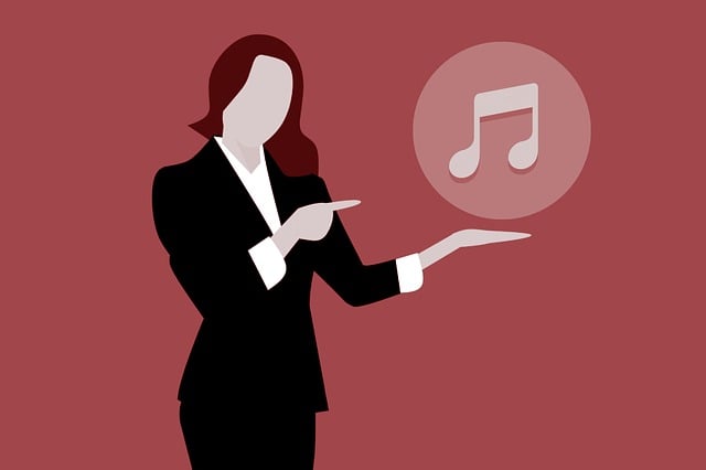 Muziek Achtergrond, Muziek Opmerking