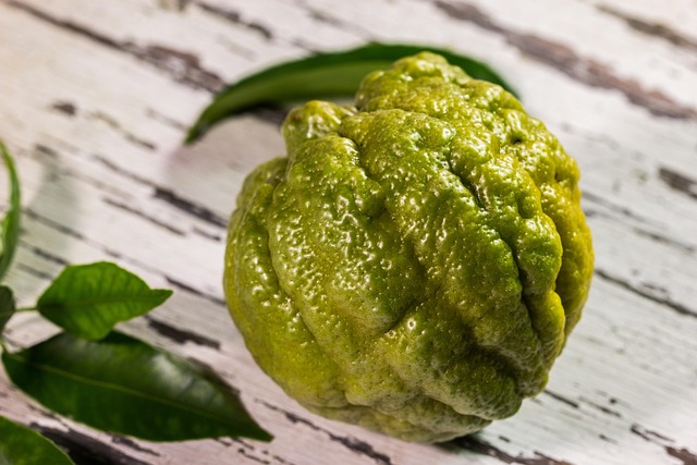 Limon R Más de 500 000 imágenes gratis de Fondos Verdes Limon y Naturaleza ...