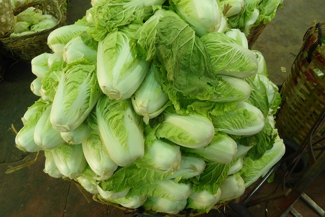 Free Vegetables Cabbage photo and picture