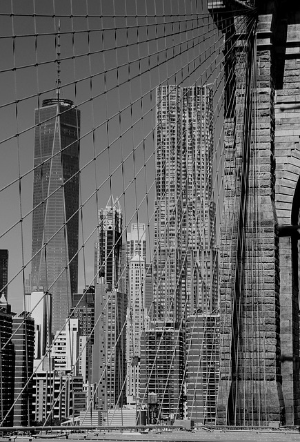 Free City Building photo and picture