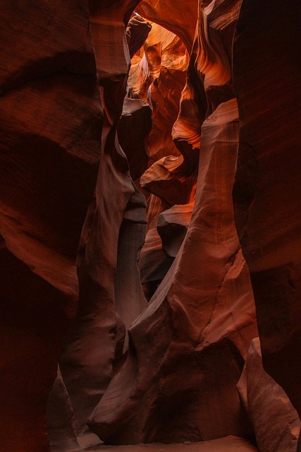 Free Canyon Antelope photo and picture