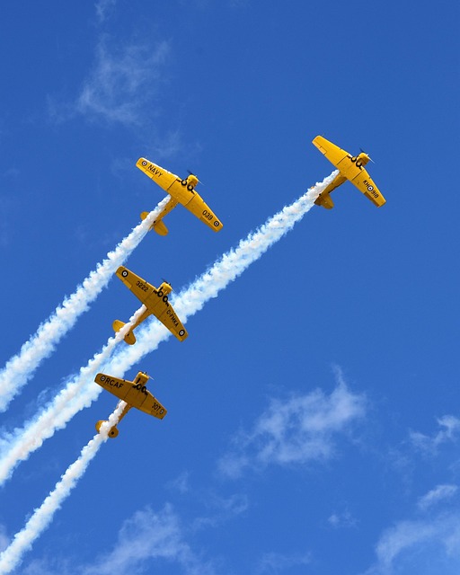 Luftfahrt, Airshow, Warbird, Flugzeug