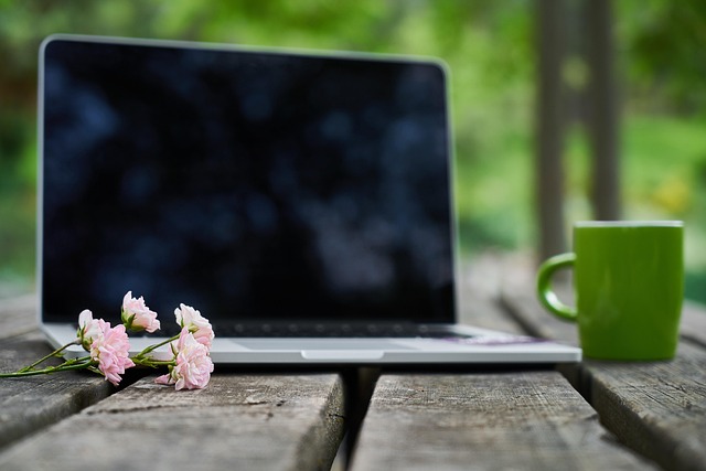 Free Technology Laptop photo and picture