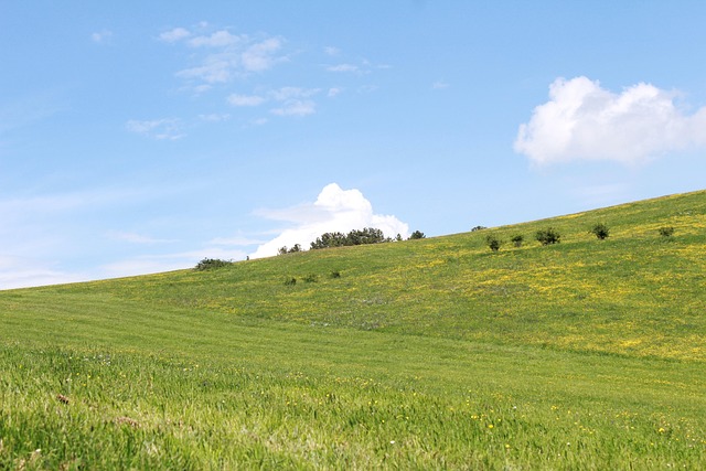 Free Sky Blue photo and picture