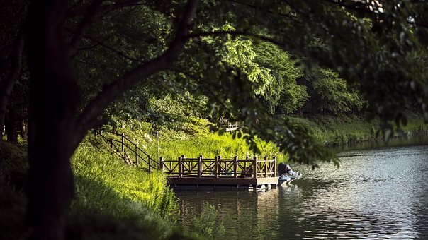 Free Lake Forest photo and picture