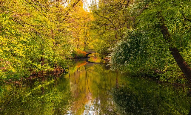 Berlin, Parkere, Bro, Natur, Tyskland