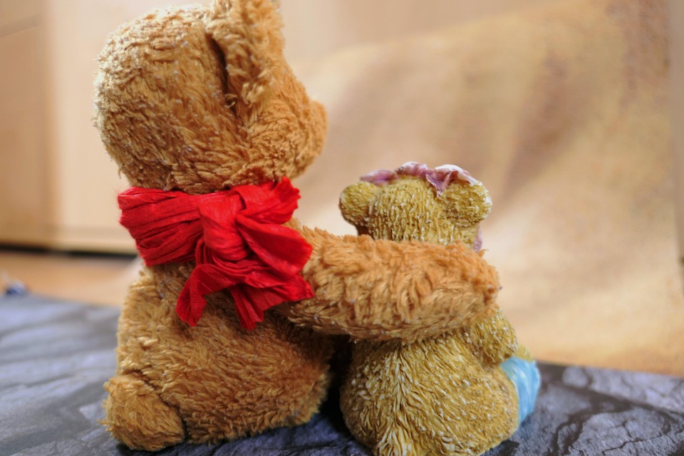 Plush Toys Bears Teddy - Free photo on Pixabay