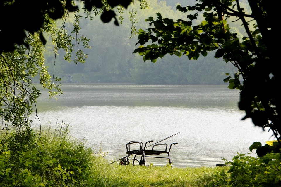 Mastering the Waters: Your Ultimate Guide to Fishing Rig Setups