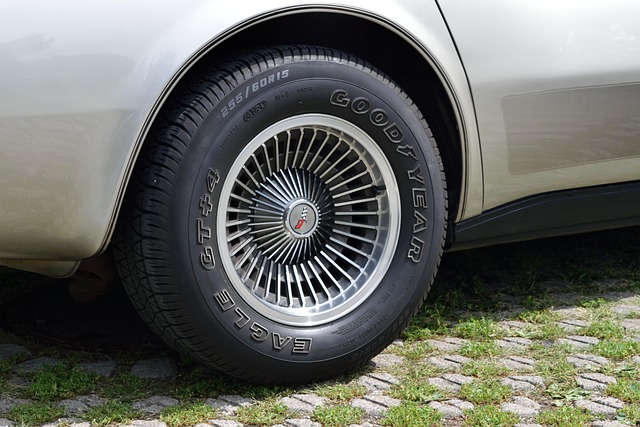Free Rim Wheel photo and picture