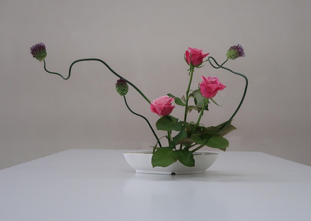Free Flowers Rose photo and picture