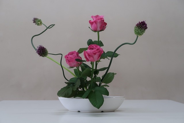 Free Flowers Rose photo and picture