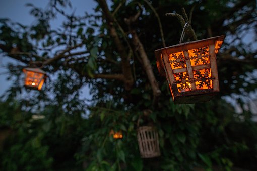 Kerze, Licht, Abend, Dämmerung, Baum
