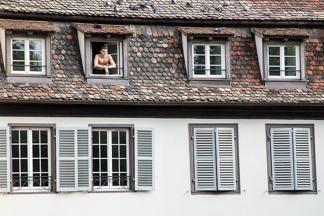 Free Strasbourg Morning photo and picture