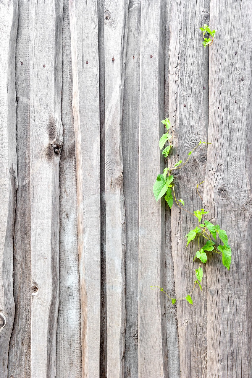 Fence Texture Old - Free photo on Pixabay - Pixabay