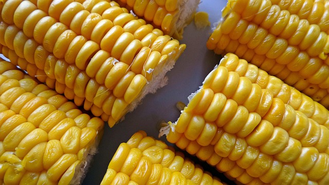 Free Corn Food photo and picture