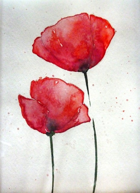 Free Poppy Watercolor illustration and picture
