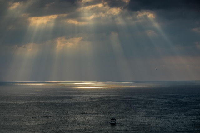 Free Sea Light photo and picture