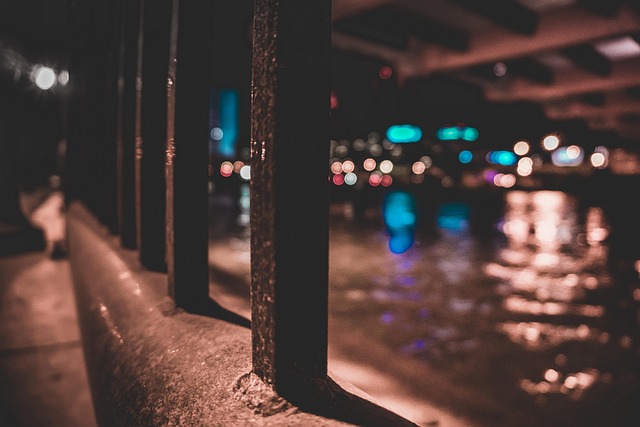 Free City Lights photo and picture