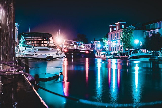 Free City Night photo and picture