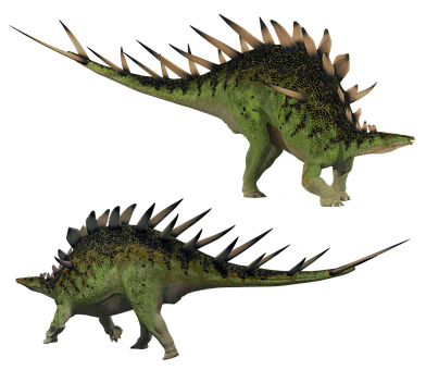 Stegosaurus, Kentrosaurus, Stegosaur