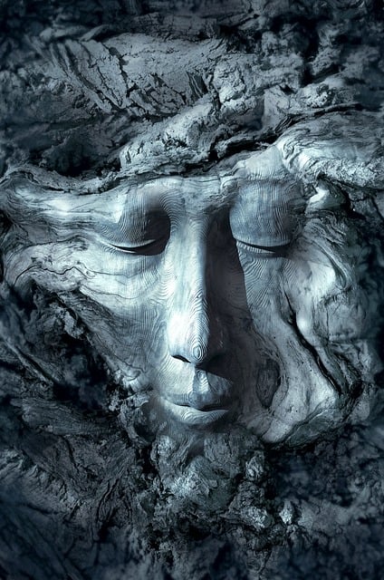 Free book cover face structure illustration
