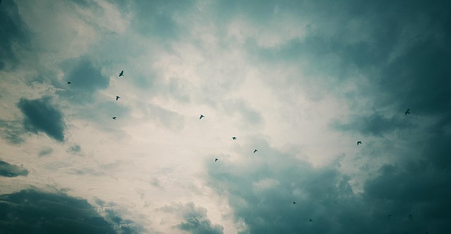 Free Clouds Sunset photo and picture