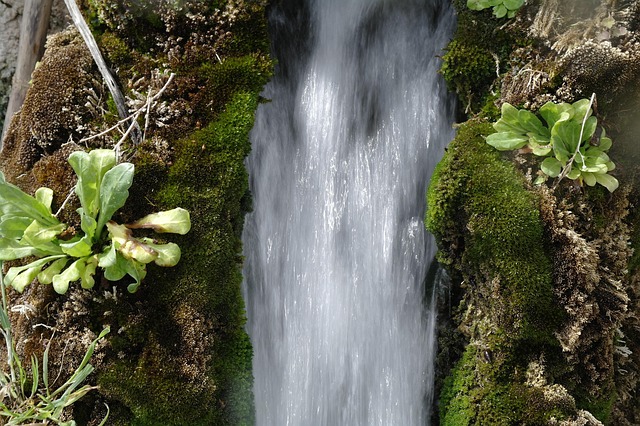 Água Corrente, Rio, Cachoeira, Brook