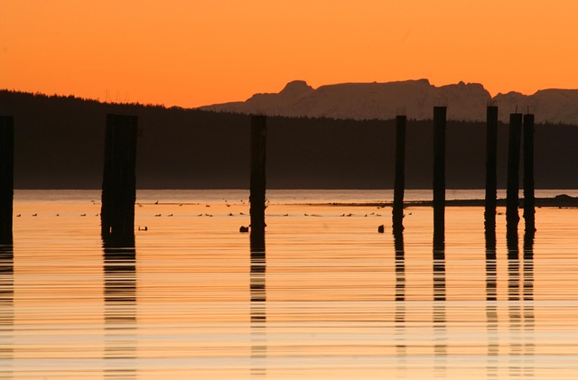Free Sunset Nature photo and picture