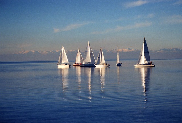 Free Sailing Sailboats photo and picture