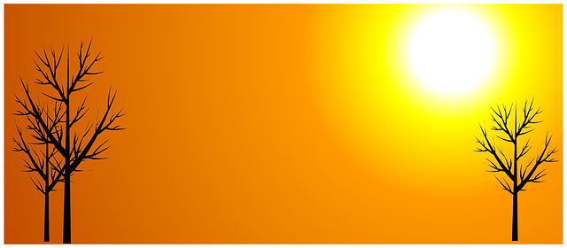Hintergrund Sonne Herbst Sonnig Kostenloses Bild Auf Pixabay