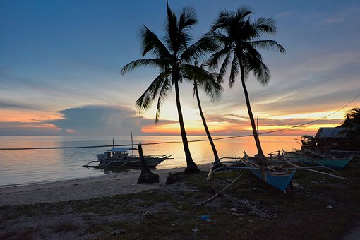 Baum, Strand, Insel, Wasser, Tropisch
