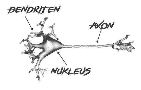 Free Nerve Cell Biology illustration and picture