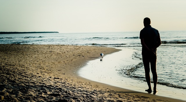 Free Beach Seagull photo and picture