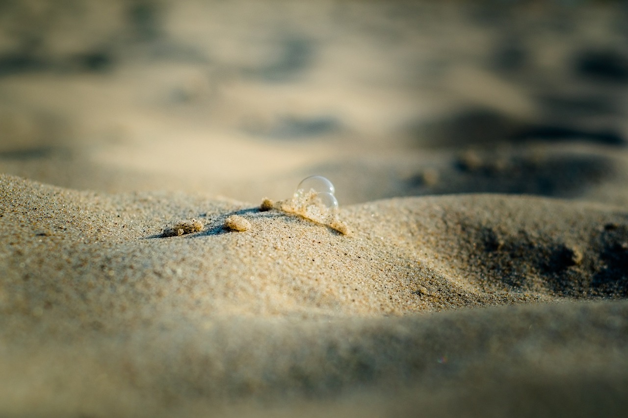 Sand Blasen Sommer