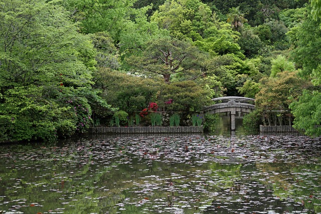 Free Bridge Garden photo and picture
