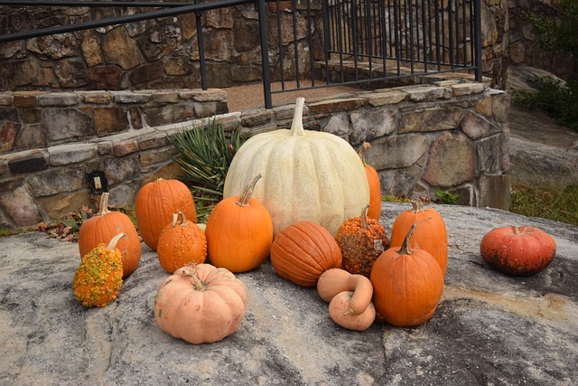Free Rock City Pumpkin photo and picture