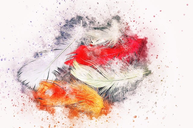 Free feathers bird art illustration