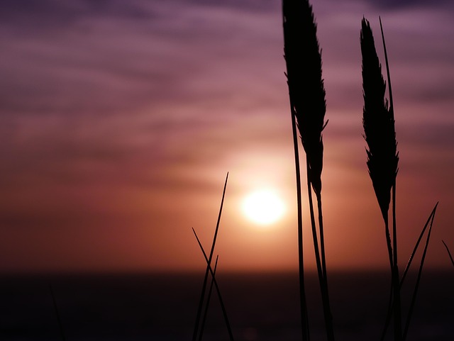 Free Sunset Beach photo and picture
